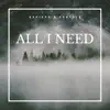 Stream & download All I Need - Single