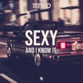 Sexy and I Know It artwork