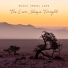 The Lion Sleeps Tonight - Single