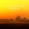 A Whole New World - Single