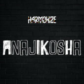 Anajikosha - Harmonize