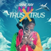 Nuh Trus Trus artwork