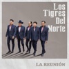 Los Tigres del Norte - La Reunión