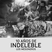 10 Años de Indeleble (Live) artwork