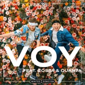 VOY (feat. Costa & Quanta) artwork