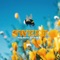 Sweet (feat. Yung Simmie) - Dubb Saq lyrics