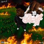 Start Some Shyt by Sheff G