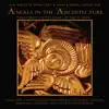 Angels in the Architecture album lyrics, reviews, download