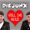 Voll ins Herz - Single