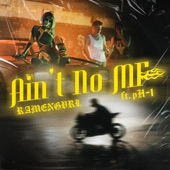 Ain't No MF (feat. pH-1) artwork