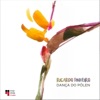 Ricardo Pinheiro - Ad Perpetuam