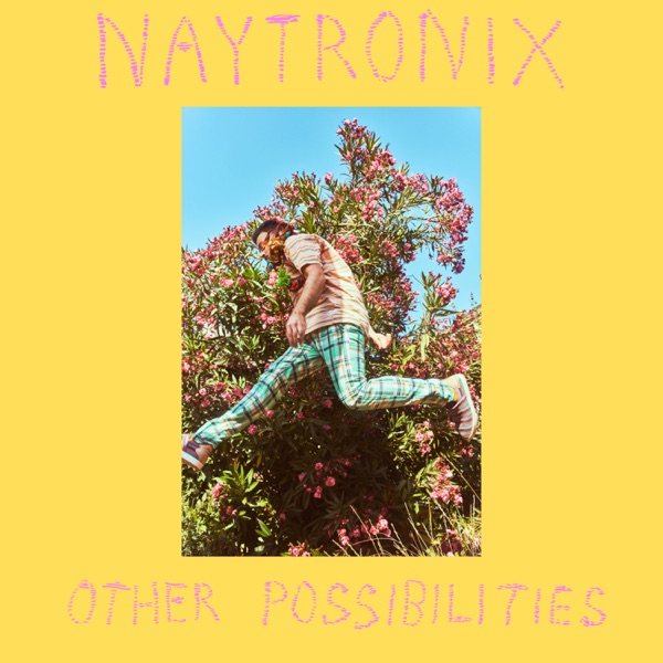 Naytronix - Other Possibilities (2021) FLAC-新房子