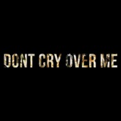 Don't Cry Over Me artwork