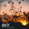 Dest - Canon in D (Pachelbel)