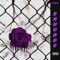 K.0 (feat. LT.Studio) - LeonPlokhoG lyrics