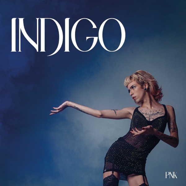 P Nk Indigo Ep Letsloop