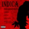 Indica - FURS lyrics