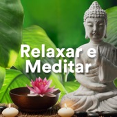 Relaxar e Meditar - a Playlist Capaz de Diminuir a Ansiedade artwork