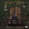 Stony Hill album lyrics, reviews, download