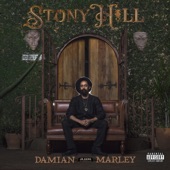 Damian "Jr. Gong" Marley - R.O.A.R.