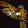 Stream & download Tududu - Single