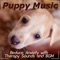 Anxiety Relief - Puppy Music Dreams, Relaxmydog & Dog Music Therapy lyrics