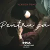 Pentru Că (feat. The Motans) [Vladish Remix] song lyrics