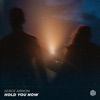 Hold You Now - Single