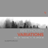 Beethoven: Piano Variations, Vol. 3 artwork