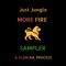 Flem - Just Jungle lyrics