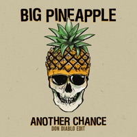 Big Pineapple - Another Chance (Don Diablo Edit)