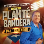 Pal Bailador artwork