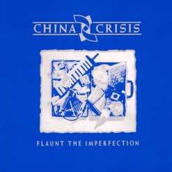 FLAUNT THE IMPERFECTION cover art