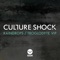 Troglodyte VIP - Culture Shock lyrics