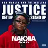 Justice (Get Up, Stand Up) [Special Edition] - Single album lyrics, reviews, download