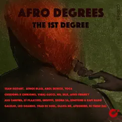 Afro Degrees: The 1st Degree by Various Artists album reviews, ratings, credits