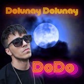 Dolunay Dolunay artwork