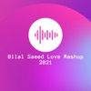 Love Mashup 2021 (feat. Momina Mustehsan) - Single