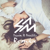 Dream It Possible (Remix) artwork