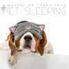 Binaural Hz Tones from Pet Sleeping: Calm Music Therapy Sleep Lullabies for Dogs and Cats, Sleep Music for Animals and Pets album lyrics, reviews, download