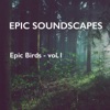 Epic Birds - Vol. 1 - EP