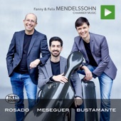 Piano Trio in D Minor, Op. 11: IV. Finale. Allegretto moderato artwork