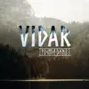 Stream & download Vidar - Single