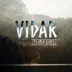 Vidar - Single album cover