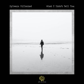 What I Didn't Tell You (Piano and Cello) artwork