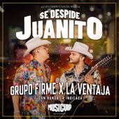 Se Despide Juanito (En Vivo) artwork