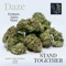 Stand Together (feat. Astro Haze) - DVZZED lyrics