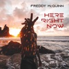 Freddy McQuinn - Here Right Now