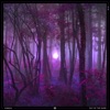 Kisnou - Beyond the Trees