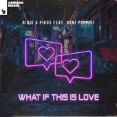 What If This Is Love (feat. Dani Poppitt) artwork